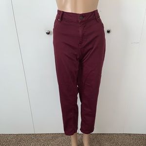 Vigoss Burgundy Jagger Skinny Jeans